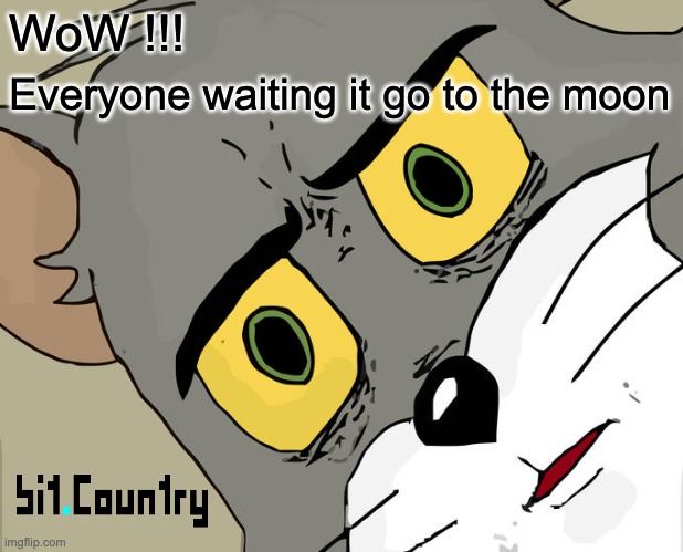 Unsettled Tom | WoW !!! Everyone waiting it go to the moon | image tagged in memes,unsettled tom | made w/ Imgflip meme maker