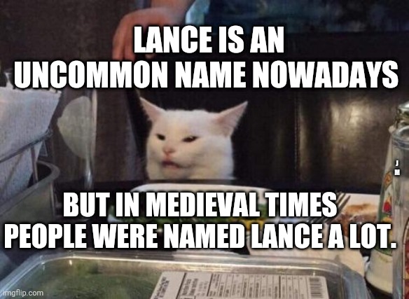 Salad cat | LANCE IS AN UNCOMMON NAME NOWADAYS; J M; BUT IN MEDIEVAL TIMES PEOPLE WERE NAMED LANCE A LOT. | image tagged in salad cat | made w/ Imgflip meme maker