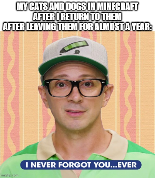 :') | MY CATS AND DOGS IN MINECRAFT AFTER I RETURN TO THEM AFTER LEAVING THEM FOR ALMOST A YEAR: | image tagged in blank white template,never forgot you | made w/ Imgflip meme maker