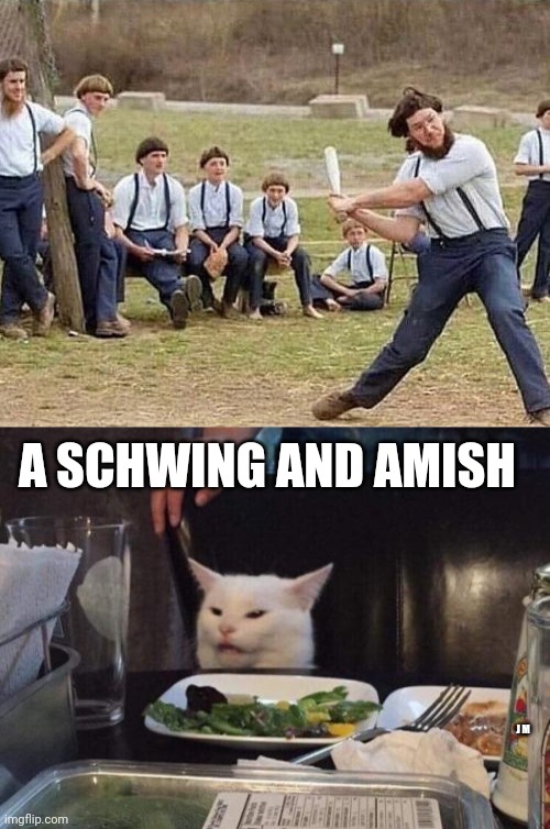 A SCHWING AND AMISH; J M | image tagged in salad cat | made w/ Imgflip meme maker