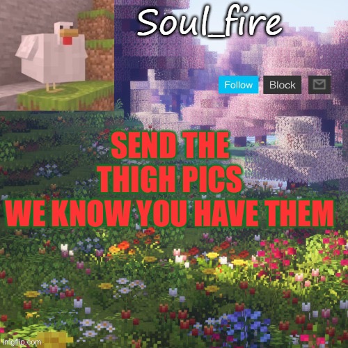 No use hiding them | SEND THE THIGH PICS
WE KNOW YOU HAVE THEM | image tagged in soul_fires minecraft temp ty yachi | made w/ Imgflip meme maker