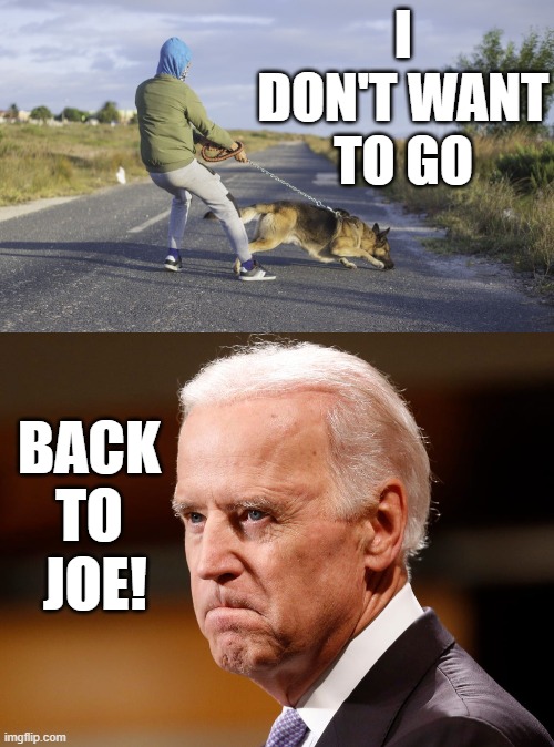 Even His Dog Knows...Oh No, No, No... | I DON'T WANT TO GO; BACK TO  JOE! | image tagged in memes,politics,joe biden,dog,know,i don't want to play with you anymore | made w/ Imgflip meme maker