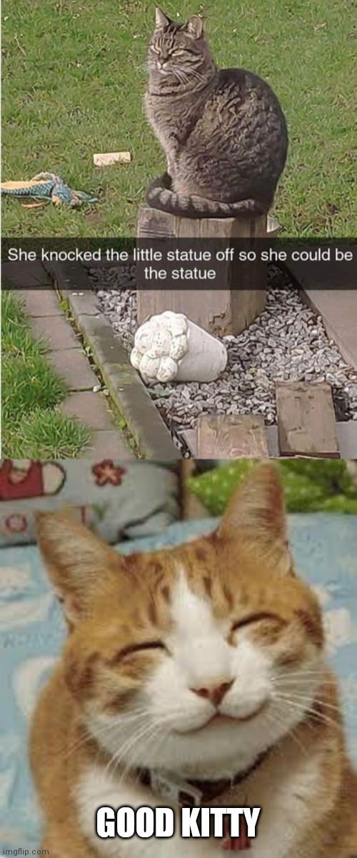 SILLY KITTY | GOOD KITTY | image tagged in happy cat,cats,funny cats | made w/ Imgflip meme maker