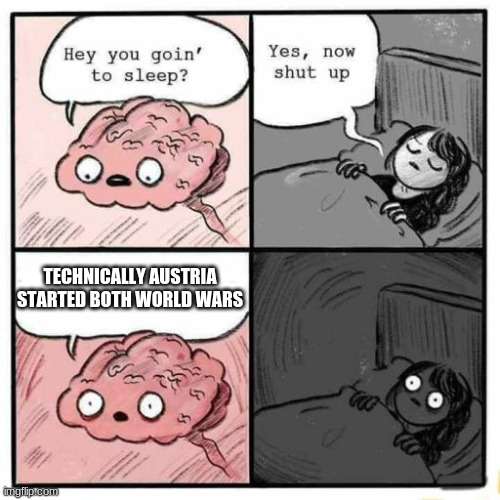 what about world war 3 | TECHNICALLY AUSTRIA STARTED BOTH WORLD WARS | image tagged in hey you going to sleep | made w/ Imgflip meme maker