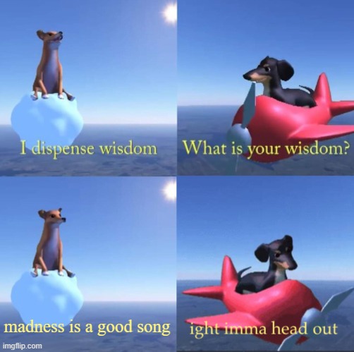 Wisdom dog rejected | madness is a good song | image tagged in wisdom dog rejected | made w/ Imgflip meme maker