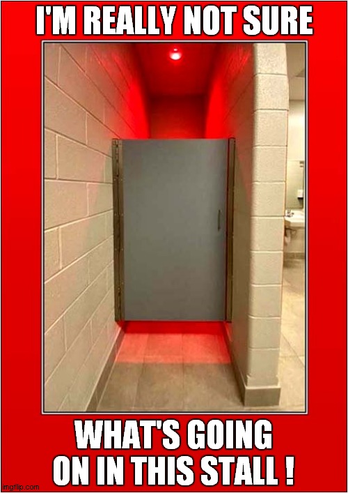 A Curious Red Light ? | I'M REALLY NOT SURE; WHAT'S GOING ON IN THIS STALL ! | image tagged in curiosity,toilet,red light | made w/ Imgflip meme maker