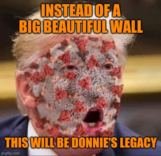 Trump's virus | INSTEAD OF A BIG BEAUTIFUL WALL; THIS WILL BE DONNIE'S LEGACY | image tagged in trump's virus | made w/ Imgflip meme maker