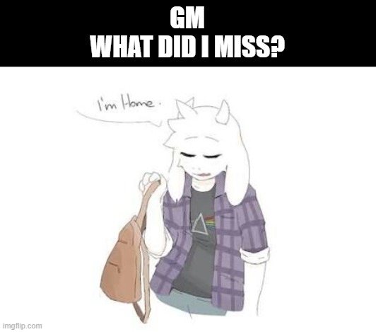 Other than Chara. I know that. | GM


WHAT DID I MISS? | image tagged in asriel | made w/ Imgflip meme maker