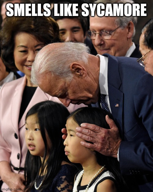 Joe Biden sniffs Chinese child | SMELLS LIKE SYCAMORE | image tagged in joe biden sniffs chinese child | made w/ Imgflip meme maker