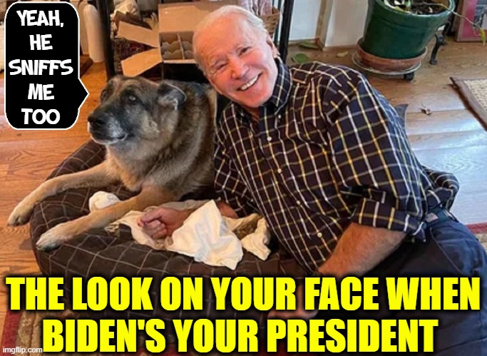 Is there a "ME TOO" movement for Mutts? | YEAH,
HE
SNIFFS
ME
TOO; THE LOOK ON YOUR FACE WHEN
BIDEN'S YOUR PRESIDENT | image tagged in vince vance,joe biden,dogs,memes,dog bite,me too | made w/ Imgflip meme maker