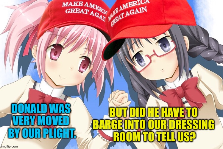 But he's seen it all before | DONALD WAS 
VERY MOVED 
BY OUR PLIGHT. BUT DID HE HAVE TO 
BARGE INTO OUR DRESSING 
ROOM TO TELL US? | image tagged in anime maga girls | made w/ Imgflip meme maker