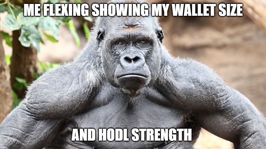 THE POST | ME FLEXING SHOWING MY WALLET SIZE; AND HODL STRENGTH | image tagged in strong ape holding gme | made w/ Imgflip meme maker