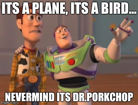 X, X Everywhere Meme | ITS A PLANE, ITS A BIRD... NEVERMIND ITS DR.PORKCHOP | image tagged in memes,x x everywhere | made w/ Imgflip meme maker