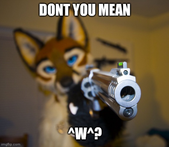 Furry with gun | DONT YOU MEAN ^W^? | image tagged in furry with gun | made w/ Imgflip meme maker