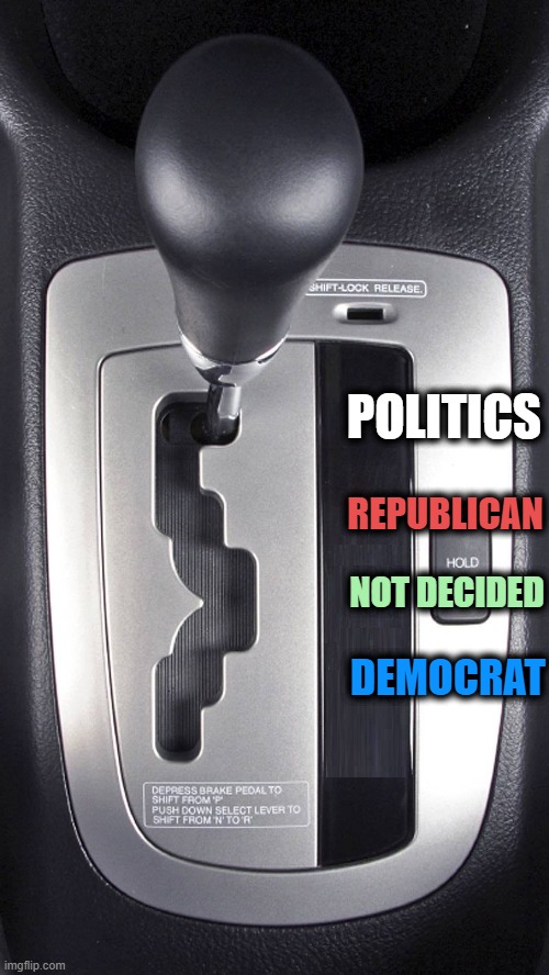 POLITICS IS LIKE DRIVING | NOT DECIDED; DEMOCRAT | image tagged in republican,reverse,drive,democrat,politics,car | made w/ Imgflip meme maker