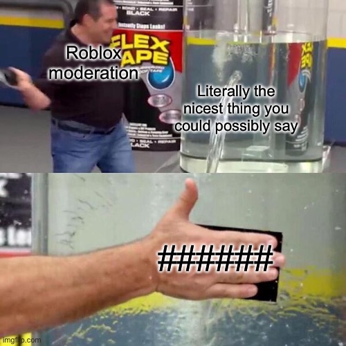 Dam moderation | Roblox moderation; Literally the nicest thing you could possibly say; ###### | image tagged in phil swift slapping on flex tape | made w/ Imgflip meme maker