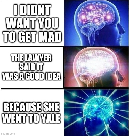 tina meyer is a liar | I DIDNT WANT YOU TO GET MAD; THE LAWYER SAID IT WAS A GOOD IDEA; BECAUSE SHE WENT TO YALE | image tagged in expanding brain 3 panels | made w/ Imgflip meme maker