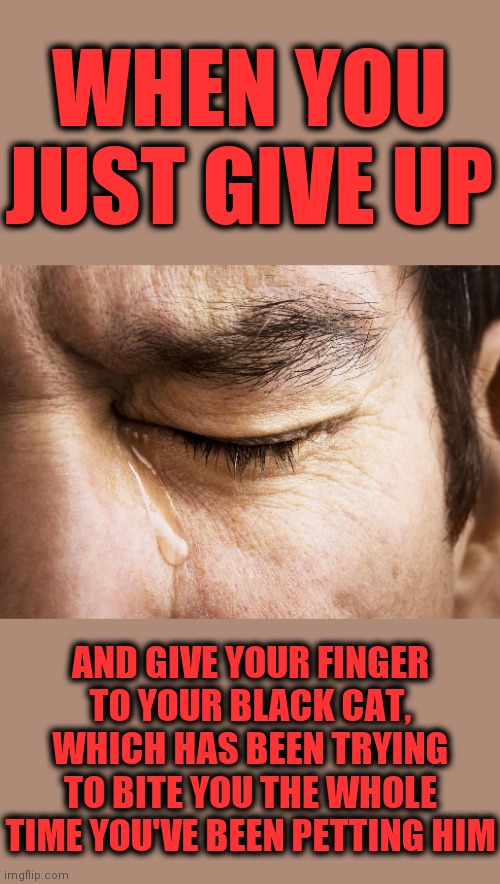 WHEN YOU JUST GIVE UP; AND GIVE YOUR FINGER TO YOUR BLACK CAT, WHICH HAS BEEN TRYING TO BITE YOU THE WHOLE TIME YOU'VE BEEN PETTING HIM | image tagged in memes,black cat,petting,bite | made w/ Imgflip meme maker