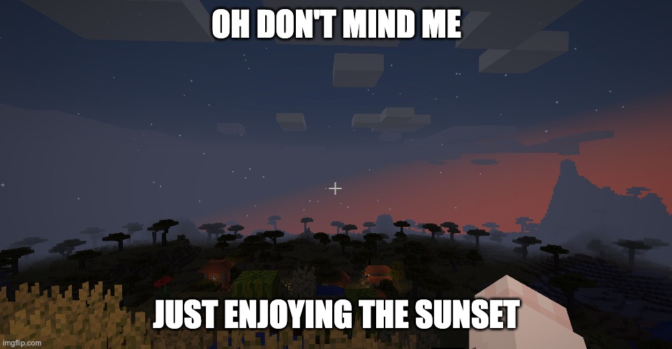 lol this was from my base | OH DON'T MIND ME; JUST ENJOYING THE SUNSET | image tagged in minecraft | made w/ Imgflip meme maker