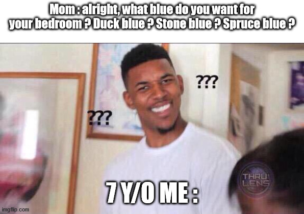 Not blue | Mom : alright, what blue do you want for your bedroom ? Duck blue ? Stone blue ? Spruce blue ? 7 Y/O ME : | image tagged in black guy confused,blue,colors,weird,memes | made w/ Imgflip meme maker