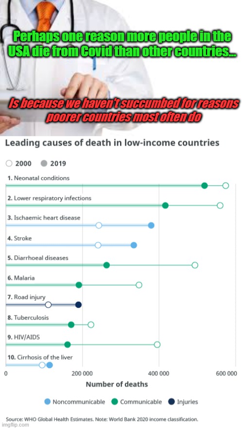 US Leads World in Covid Deaths | Perhaps one reason more people in the USA die from Covid than other countries... Is because we haven't succumbed for reasons
poorer countries most often do | image tagged in causes of death,logic,politics | made w/ Imgflip meme maker