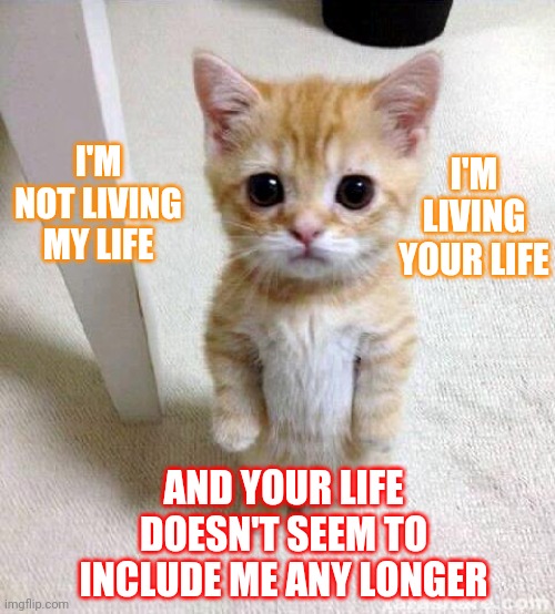 When You Don't Matter Anymore | I'M LIVING YOUR LIFE; I'M NOT LIVING MY LIFE; AND YOUR LIFE DOESN'T SEEM TO INCLUDE ME ANY LONGER | image tagged in memes,cute cat,male privilege,men vs women,patriarchy,no more | made w/ Imgflip meme maker