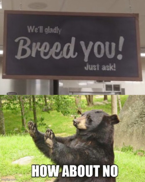 Wait—why..? | image tagged in memes,how about no bear,funny,wtf,gifs,not a gif | made w/ Imgflip meme maker