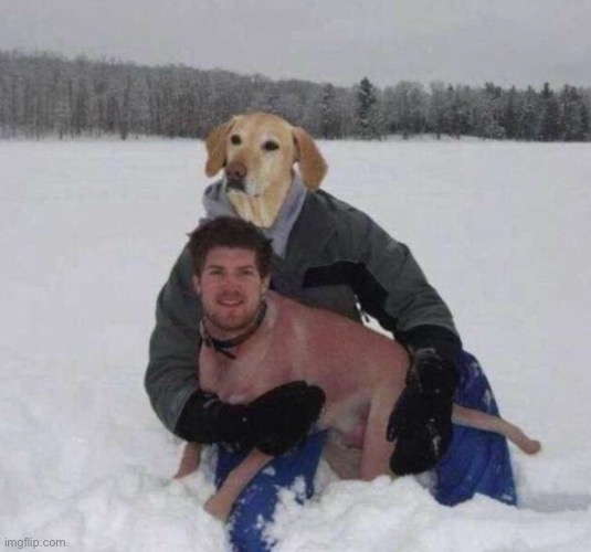 Cursed | image tagged in dogs,cursed,faceswap | made w/ Imgflip meme maker