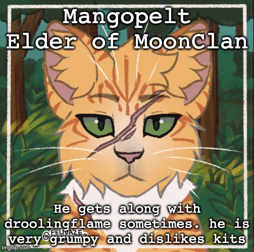 They compliment each other with insults | Mangopelt
Elder of MoonClan; He gets along with droolingflame sometimes. he is very grumpy and dislikes kits | made w/ Imgflip meme maker