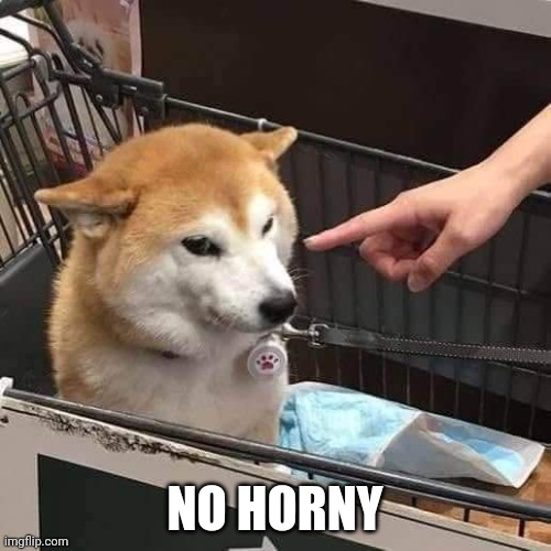 No horny | NO HORNY | image tagged in no horny | made w/ Imgflip meme maker