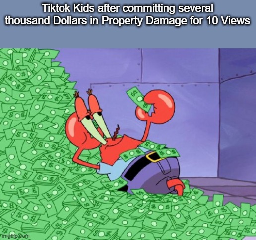 mr krabs money | Tiktok Kids after committing several thousand Dollars in Property Damage for 10 Views | image tagged in mr krabs money | made w/ Imgflip meme maker