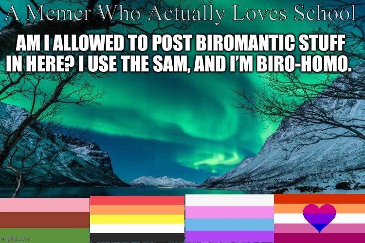 AM I ALLOWED TO POST BIROMANTIC STUFF IN HERE? I USE THE SAM, AND I’M BIRO-HOMO. | made w/ Imgflip meme maker