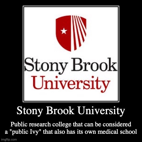 Stony Brook University | image tagged in demotivationals,college | made w/ Imgflip demotivational maker