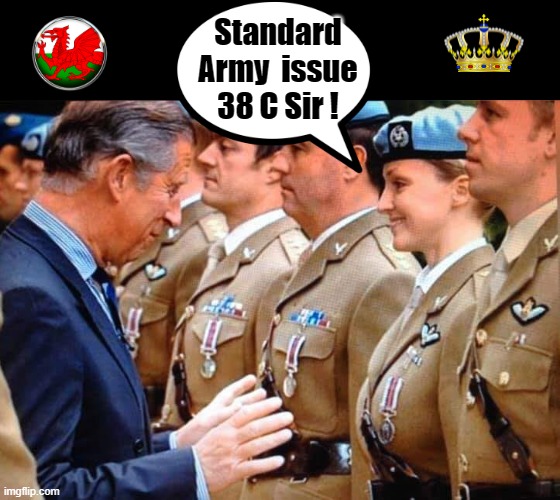 Making a clean  breast of things ! | Standard
Army  issue
38 C Sir ! | image tagged in prince charles | made w/ Imgflip meme maker