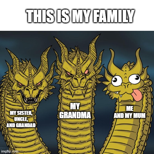 my family irl | THIS IS MY FAMILY; MY GRANDMA; ME AND MY MUM; MY SISTER, UNCLE, AND GRANDAD | image tagged in three-headed dragon | made w/ Imgflip meme maker