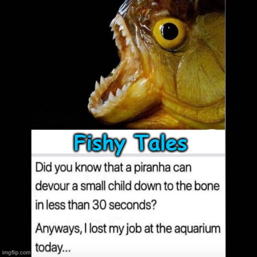 Fishy Tales | Fishy Tales | image tagged in aquarium | made w/ Imgflip meme maker