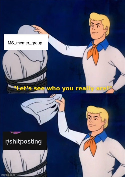 MS_memer_group is just r/shitposting but much better | image tagged in lets see who you really are | made w/ Imgflip meme maker