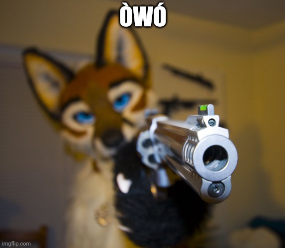 Furry with gun | ÒWÓ | image tagged in furry with gun | made w/ Imgflip meme maker