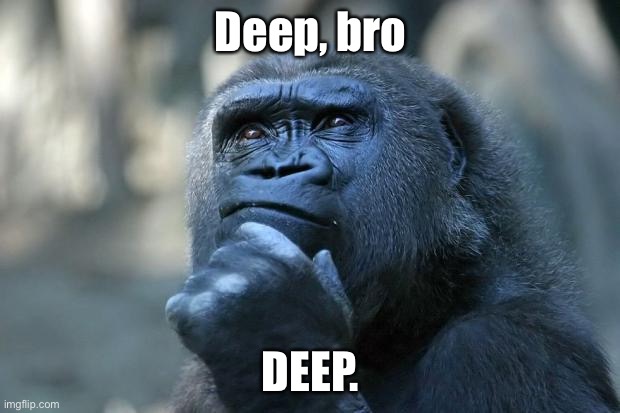 Deep Thoughts | Deep, bro DEEP. | image tagged in deep thoughts | made w/ Imgflip meme maker