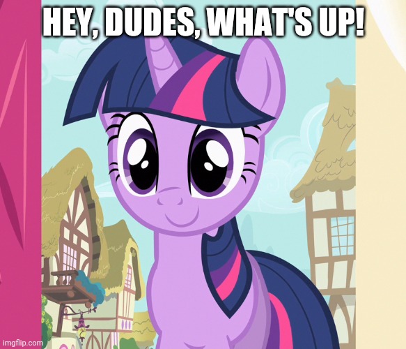 HEY, DUDES, WHAT'S UP! | image tagged in twilight sparkle | made w/ Imgflip meme maker