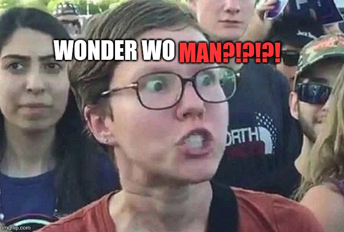 Triggered Liberal | WONDER WO MAN?!?!?! | image tagged in triggered liberal | made w/ Imgflip meme maker