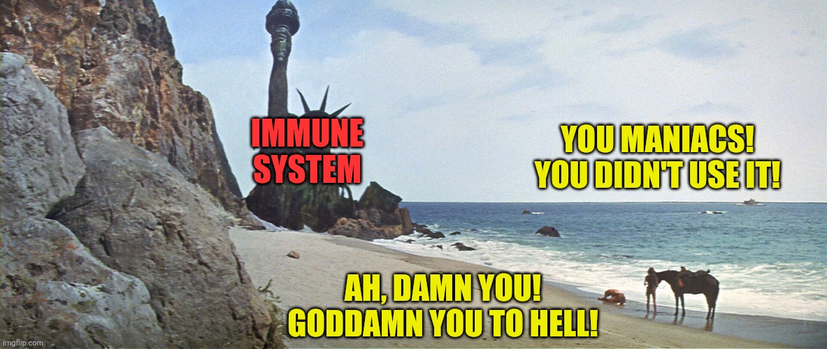 You blew it up! | IMMUNE SYSTEM YOU MANIACS! YOU DIDN'T USE IT! AH, DAMN YOU! GODDAMN YOU TO HELL! | image tagged in you blew it up | made w/ Imgflip meme maker