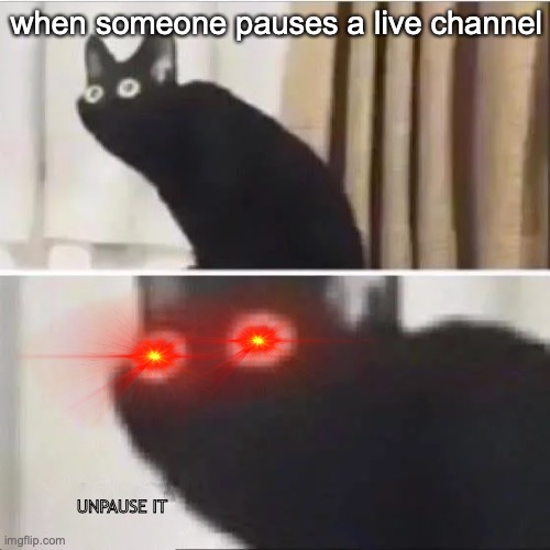 like bruh what's ur problem? |  when someone pauses a live channel; UNPAUSE IT | image tagged in scared cat | made w/ Imgflip meme maker