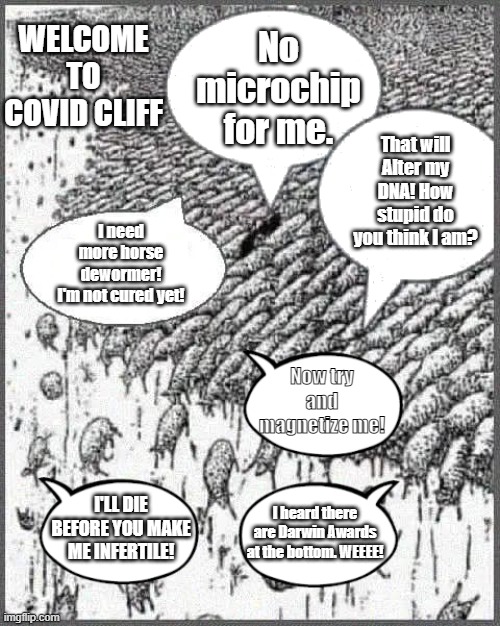 Covid Cliff | WELCOME TO COVID CLIFF; No microchip for me. That will Alter my DNA! How stupid do you think I am? I need more horse dewormer! I'm not cured yet! Now try and magnetize me! I'LL DIE BEFORE YOU MAKE ME INFERTILE! I heard there are Darwin Awards at the bottom. WEEEE! | image tagged in covid-19,get vaccinated stupid | made w/ Imgflip meme maker