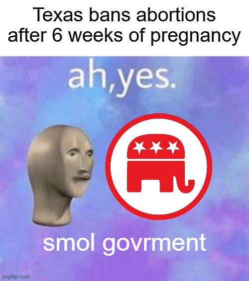 Texas's one star is their rating. | Texas bans abortions after 6 weeks of pregnancy; smol govrment | image tagged in ah yes | made w/ Imgflip meme maker