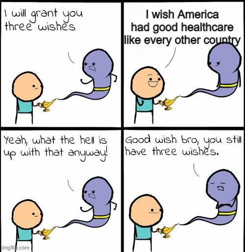 I mean seriously | I wish America had good healthcare like every other country | image tagged in genie what the hell is up with that anyway | made w/ Imgflip meme maker