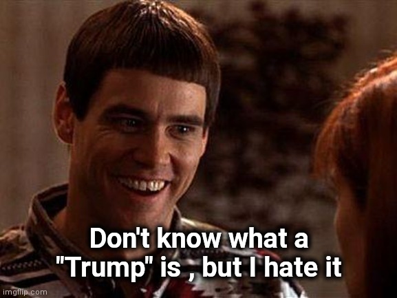 Dumb And Dumber | Don't know what a "Trump" is , but I hate it | image tagged in dumb and dumber | made w/ Imgflip meme maker