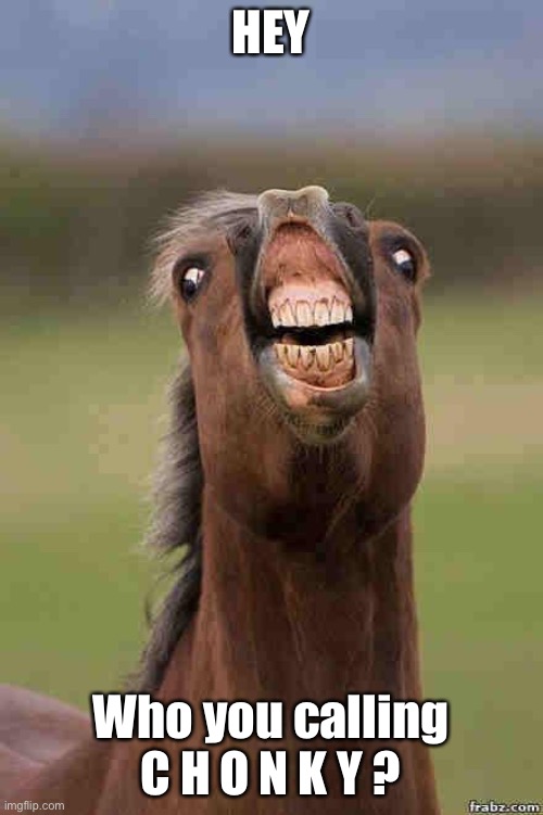horse face | HEY Who you calling C H O N K Y ? | image tagged in horse face | made w/ Imgflip meme maker