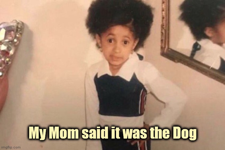 Young Cardi B Meme | My Mom said it was the Dog | image tagged in memes,young cardi b | made w/ Imgflip meme maker