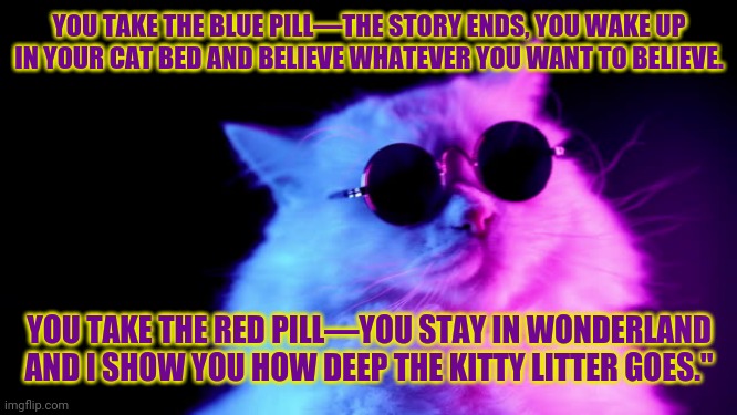 Purrpheus | YOU TAKE THE BLUE PILL—THE STORY ENDS, YOU WAKE UP IN YOUR CAT BED AND BELIEVE WHATEVER YOU WANT TO BELIEVE. YOU TAKE THE RED PILL—YOU STAY IN WONDERLAND AND I SHOW YOU HOW DEEP THE KITTY LITTER GOES." | image tagged in purrpheus,matrix morpheus,morpheus,red pill blue pill,red pill | made w/ Imgflip meme maker